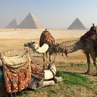Camel Ride in Giza Pyramids-2