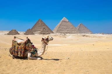 Camel Ride in Giza Pyramids-3